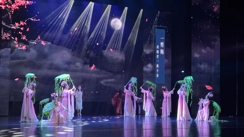 话剧我来演，宋韵你来品 温州市精品剧目展演精彩上演